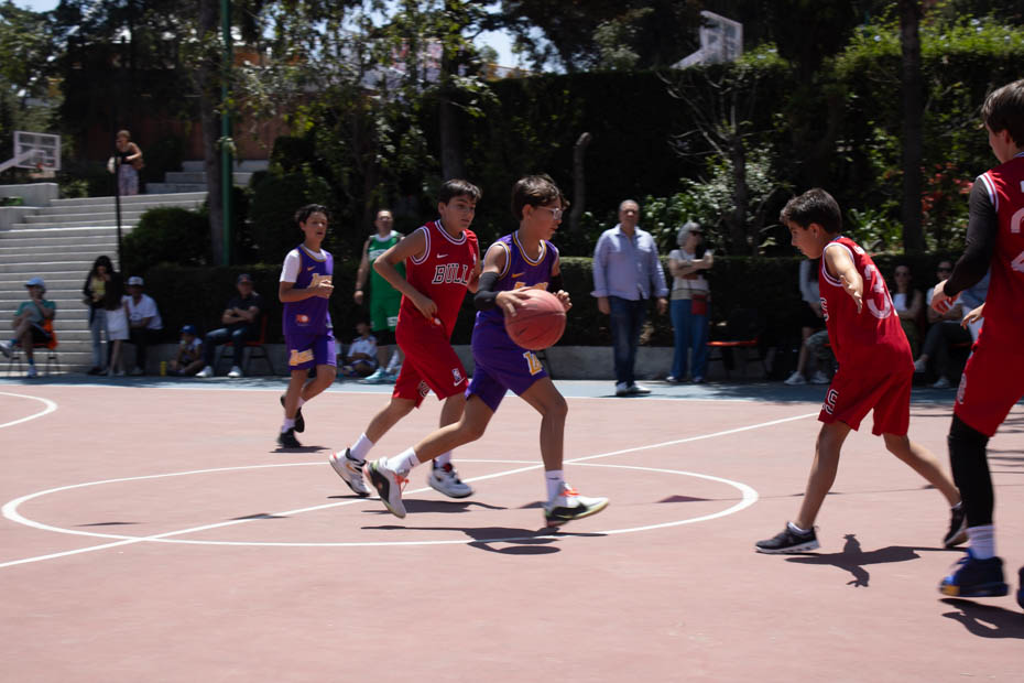 Ir a la Siguiente Foto