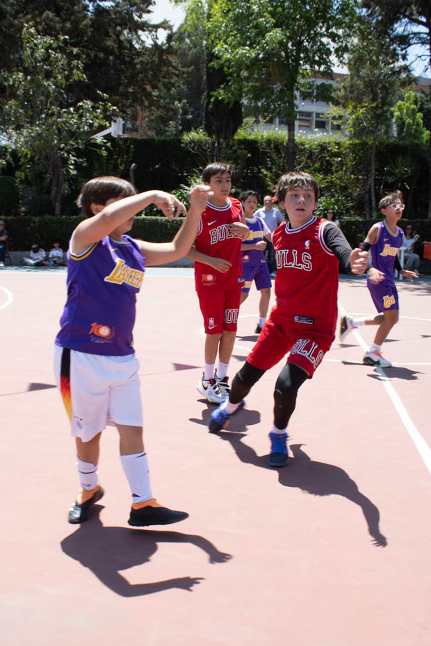 Ir a la Siguiente Foto