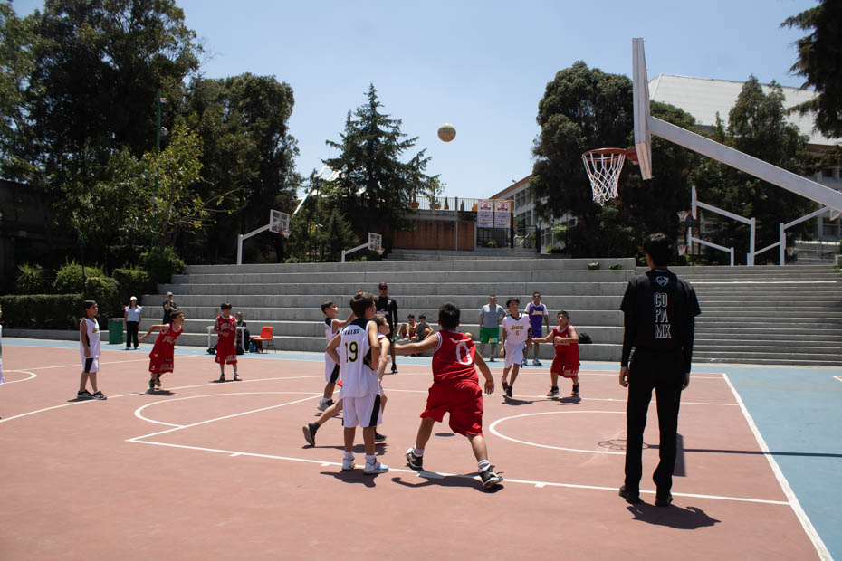 Ir a la Siguiente Foto