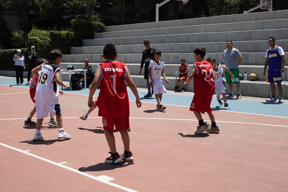 Ir a la Siguiente Foto