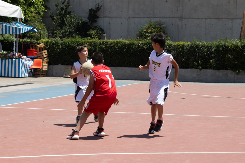 Ir a la Siguiente Foto