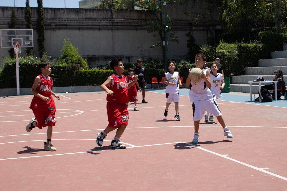 Ir a la Siguiente Foto