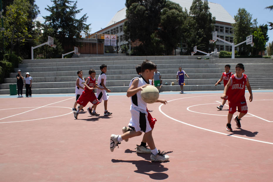 Ir a la Siguiente Foto