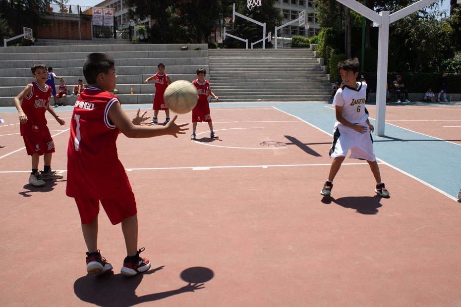 Ir a la Siguiente Foto