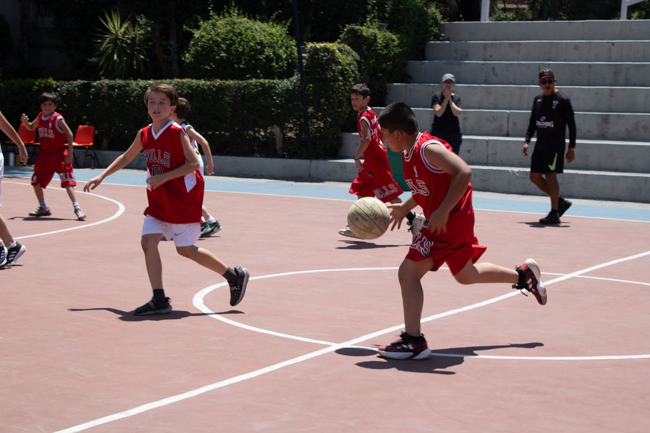 Ir a la Siguiente Foto