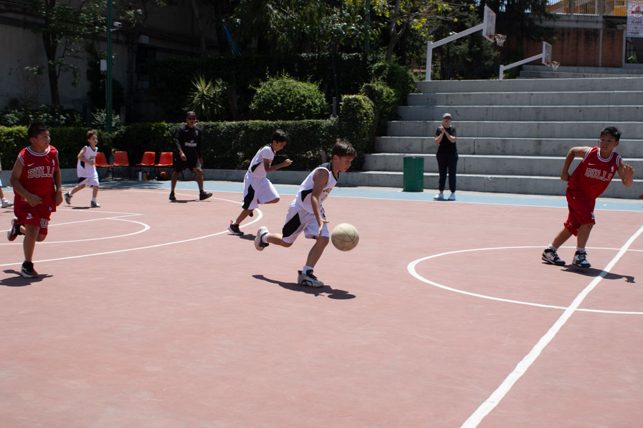 Ir a la Siguiente Foto