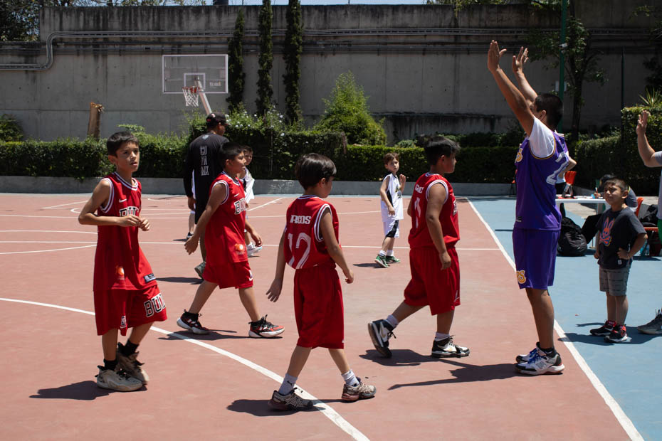 Ir a la Siguiente Foto