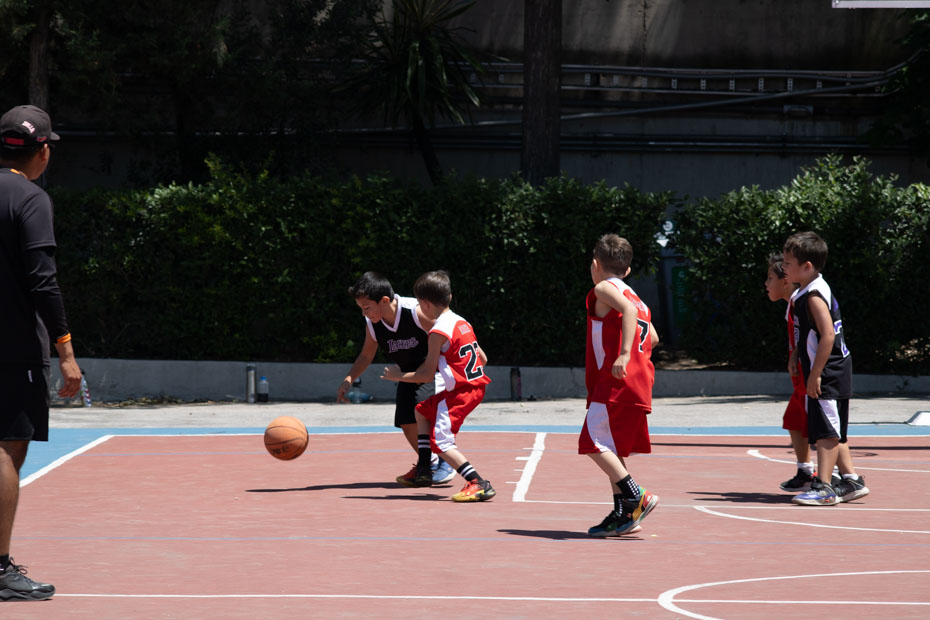 Ir a la Siguiente Foto