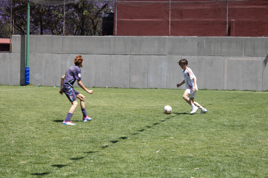 Ir a la Siguiente Foto