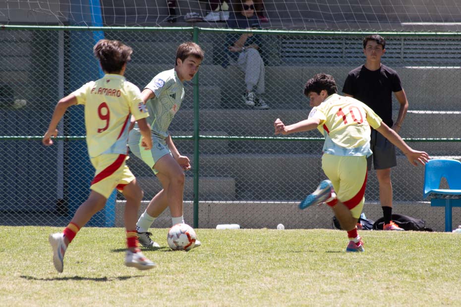 Ir a la Siguiente Foto