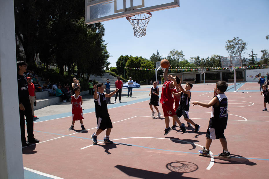 Ir a la Siguiente Foto