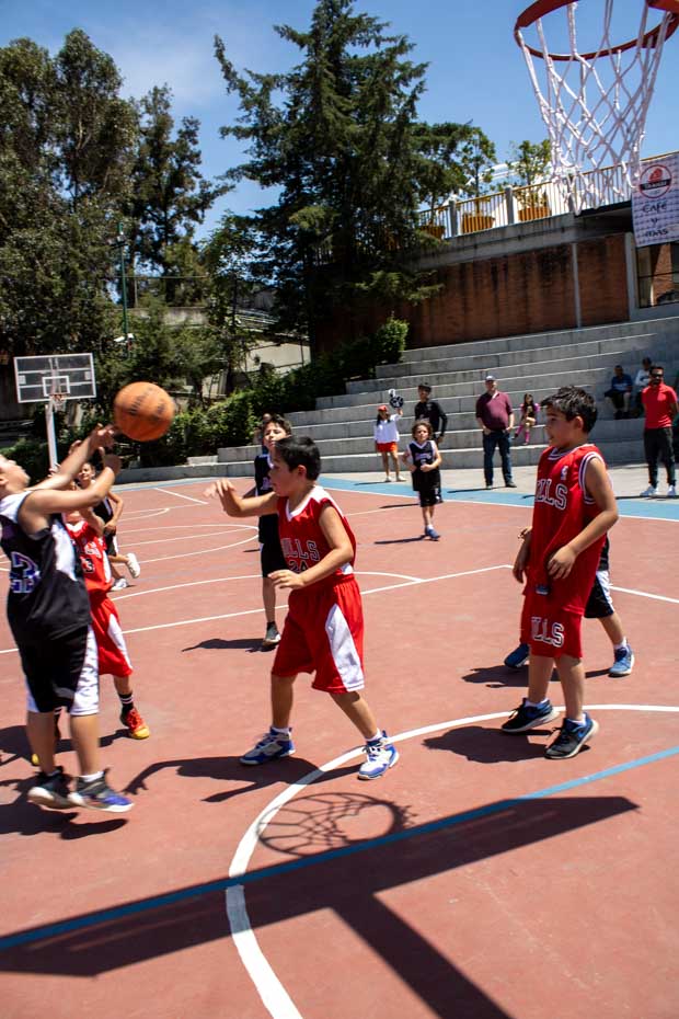 Ir a la Siguiente Foto