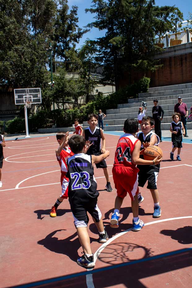 Ir a la Siguiente Foto