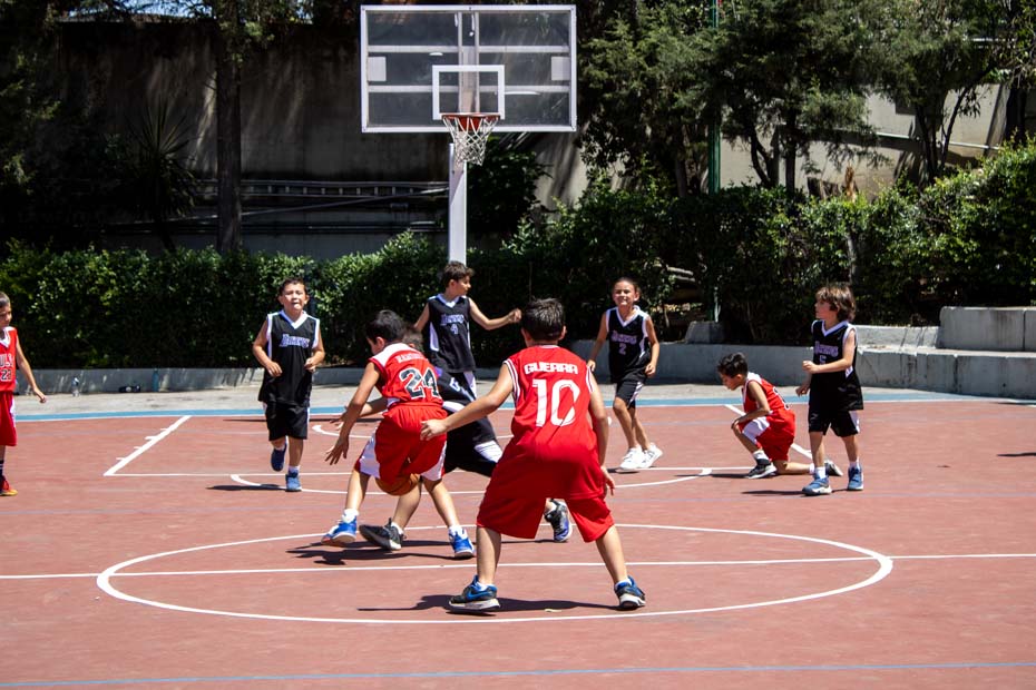 Ir a la Siguiente Foto