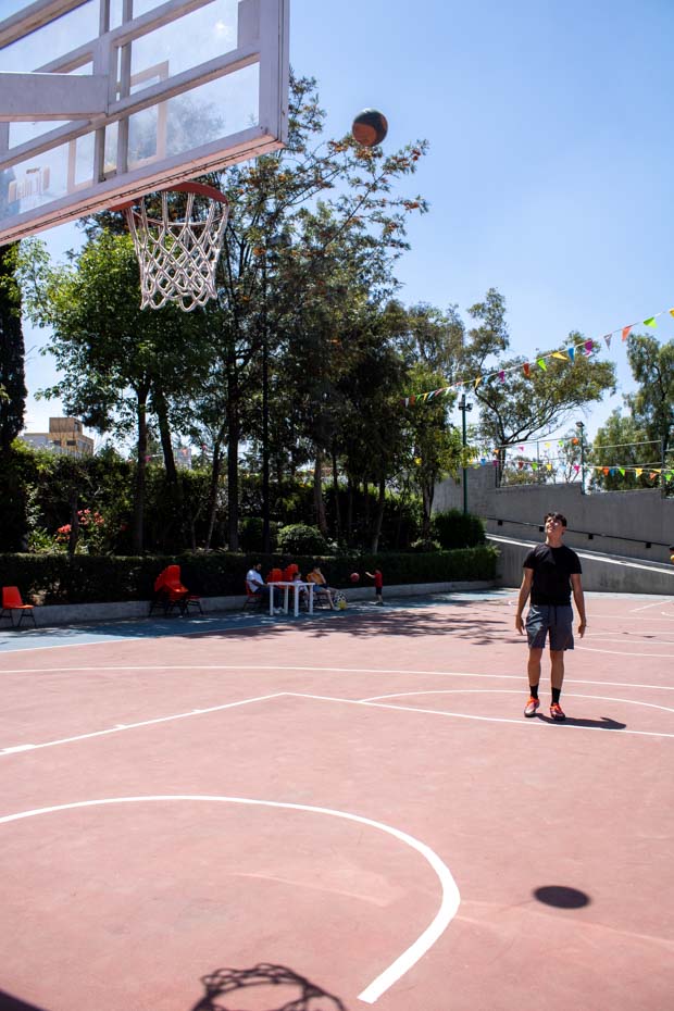 Ir a la Siguiente Foto