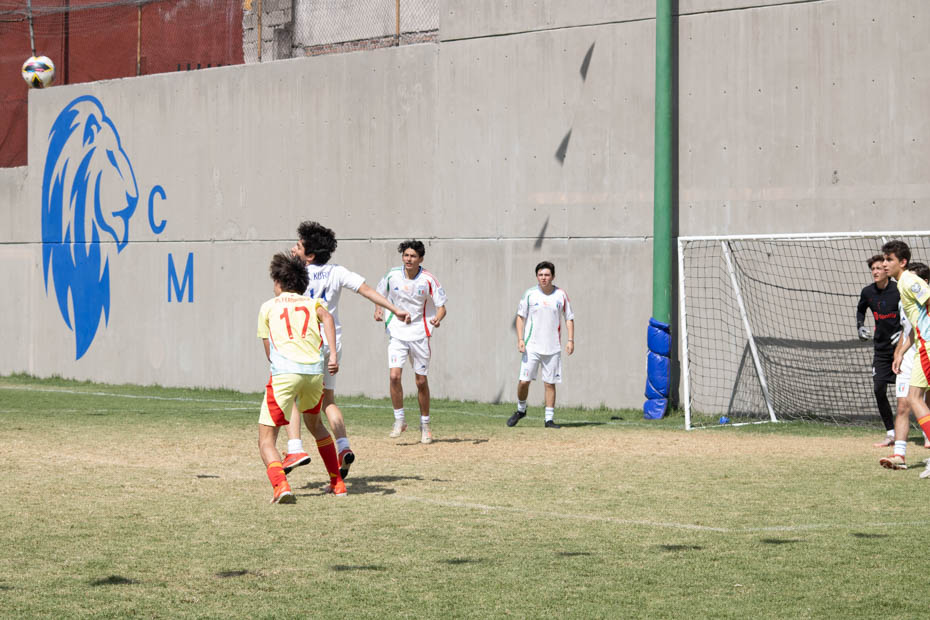 Ir a la Siguiente Foto