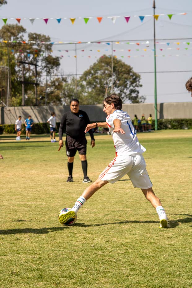 Ir a la Siguiente Foto