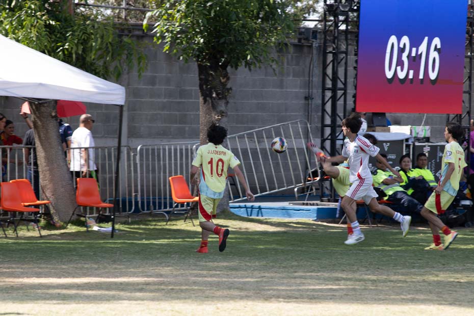 Ir a la Siguiente Foto