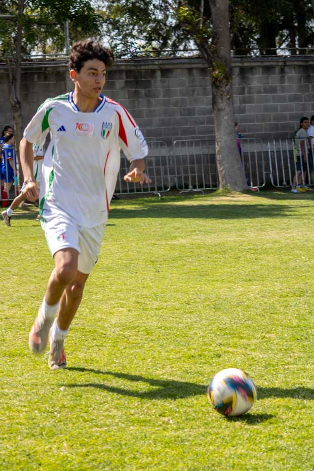 Ir a la Siguiente Foto