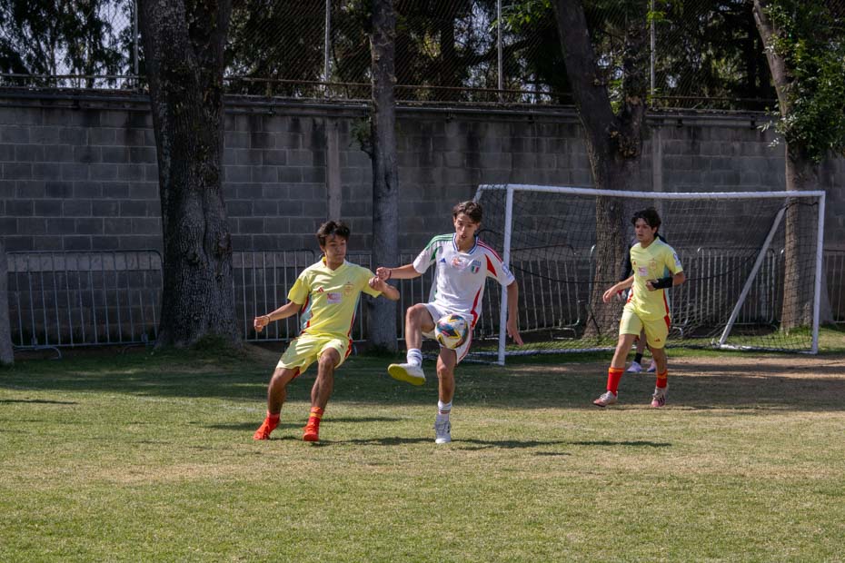 Ir a la Siguiente Foto