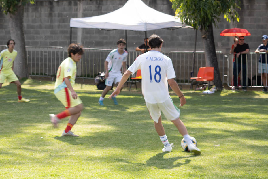 Ir a la Siguiente Foto