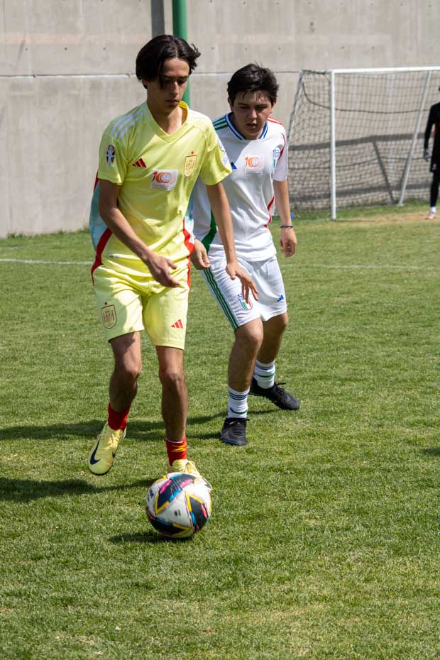 Ir a la Siguiente Foto