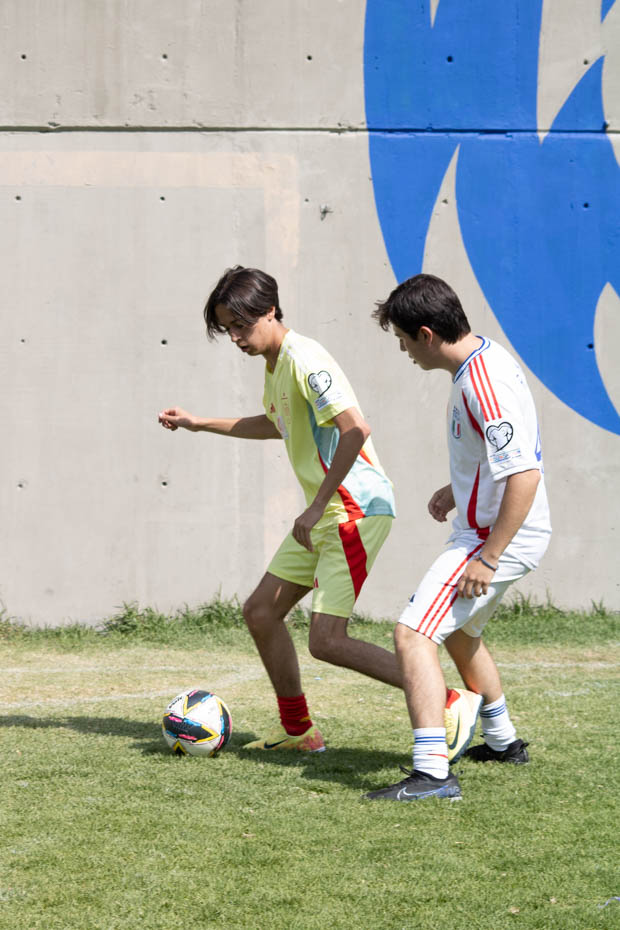 Ir a la Siguiente Foto