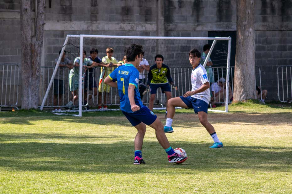 Ir a la Siguiente Foto