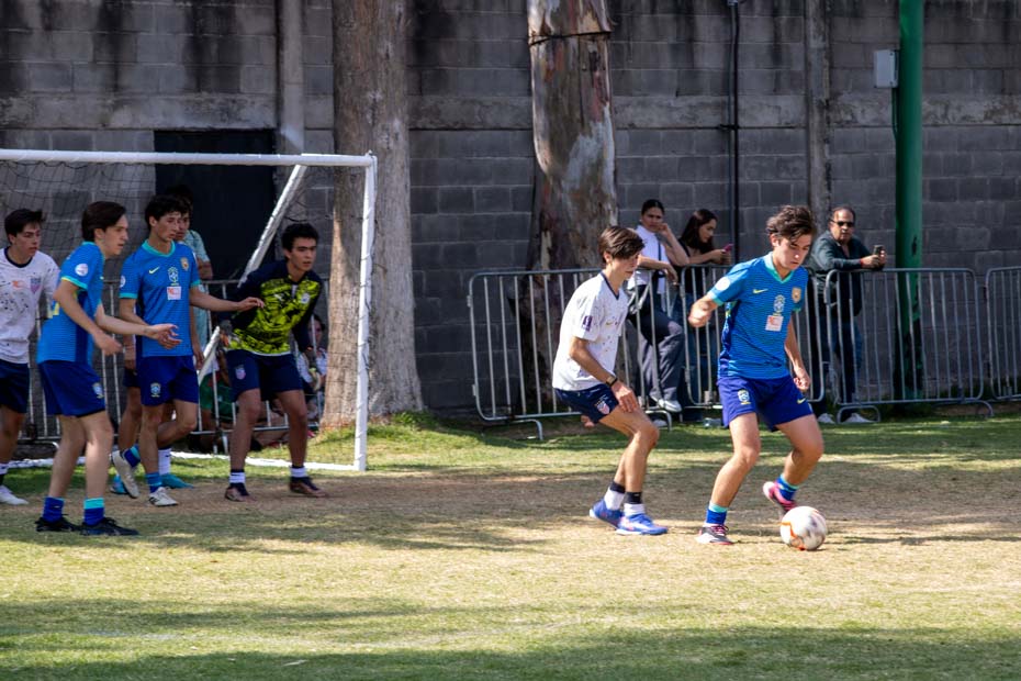 Ir a la Siguiente Foto