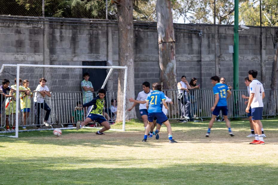Ir a la Siguiente Foto