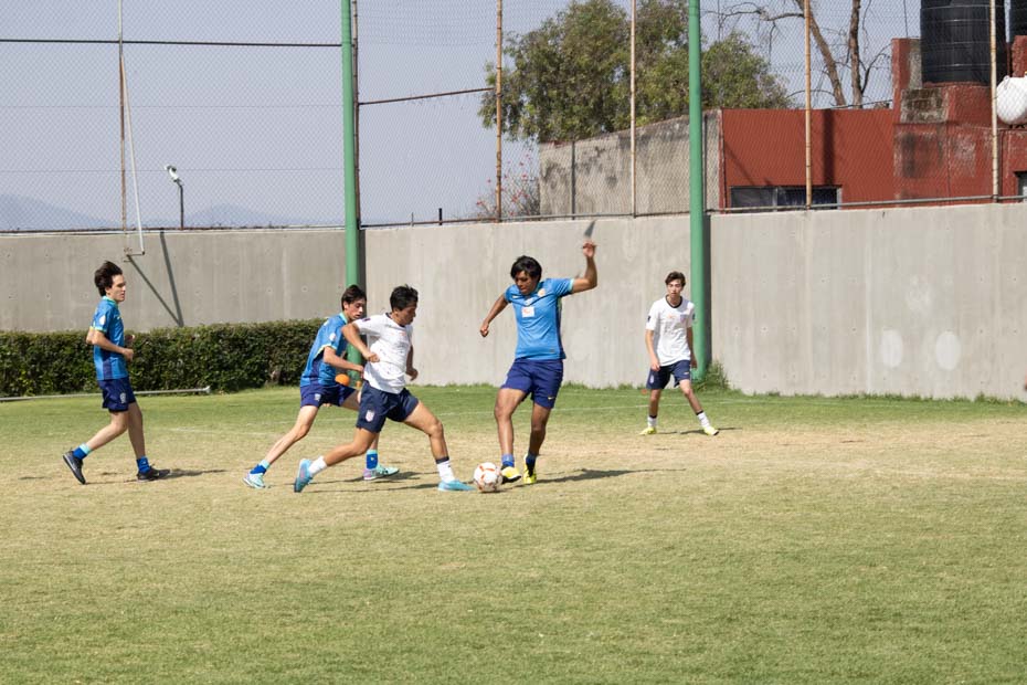 Ir a la Siguiente Foto