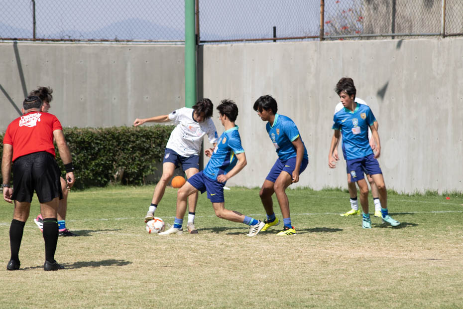 Ir a la Siguiente Foto