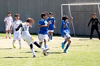 29032025mundialito2025_juegos1433.jpg