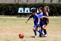 29032025mundialito2025_juegos1606.jpg