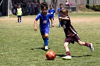 29032025mundialito2025_juegos1609.jpg