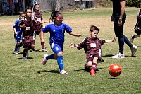 29032025mundialito2025_juegos1615.jpg