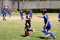 29032025mundialito2025_juegos1657.jpg