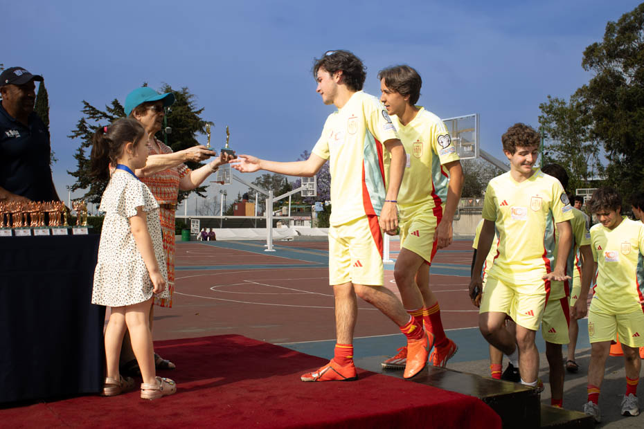 Ir a la Siguiente Foto