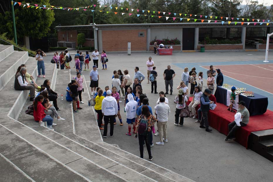 Ir a la Siguiente Foto