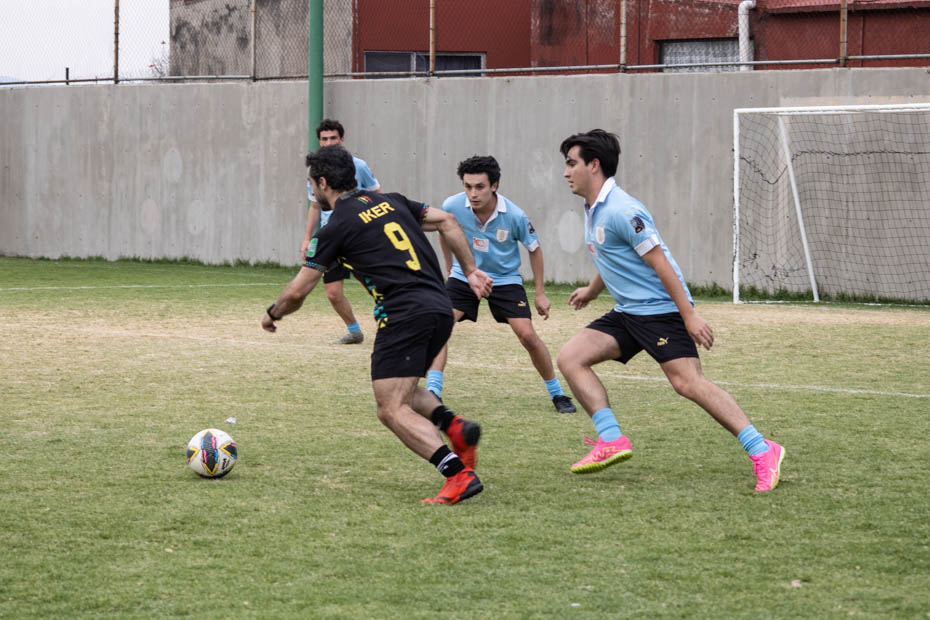 Ir a la Siguiente Foto