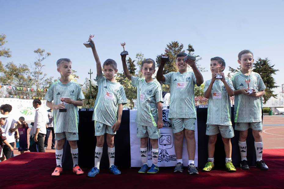 Ir a la Siguiente Foto