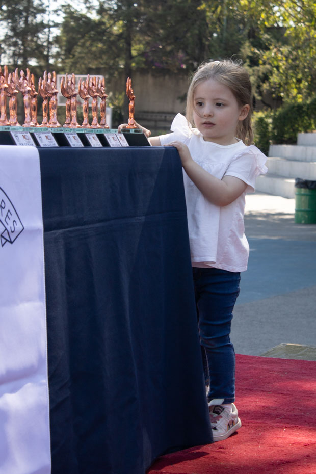 Ir a la Siguiente Foto