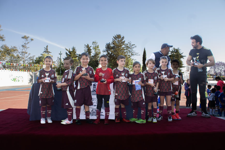 Ir a la Siguiente Foto