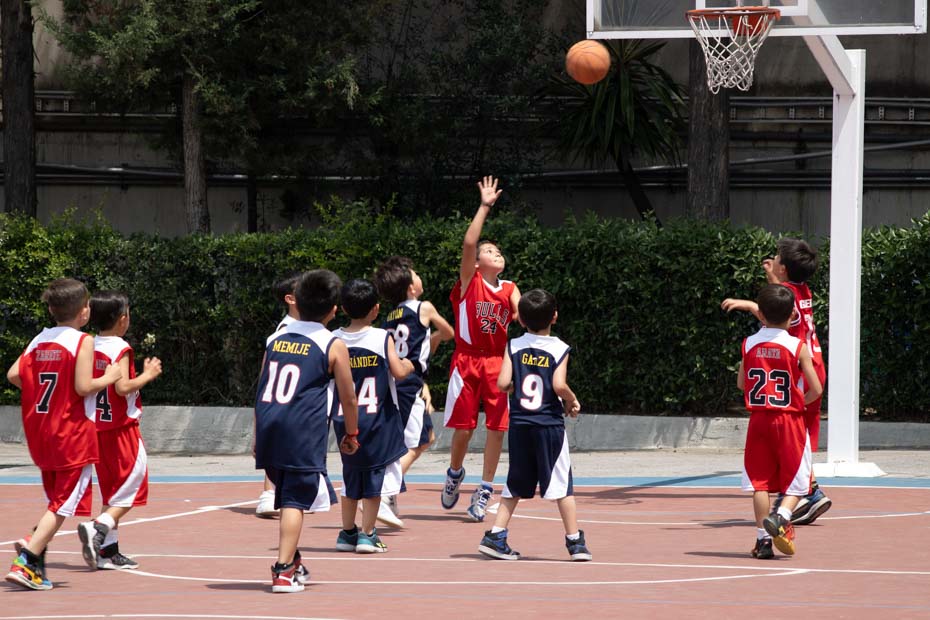 Ir a la Siguiente Foto