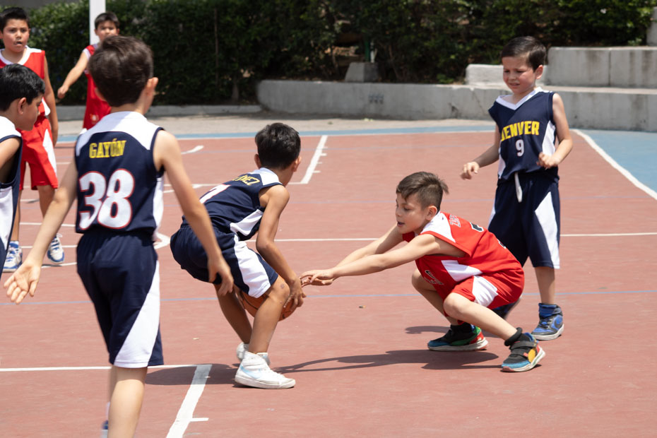 Ir a la Siguiente Foto