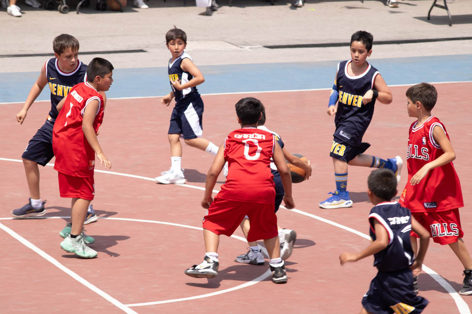 Ir a la Siguiente Foto