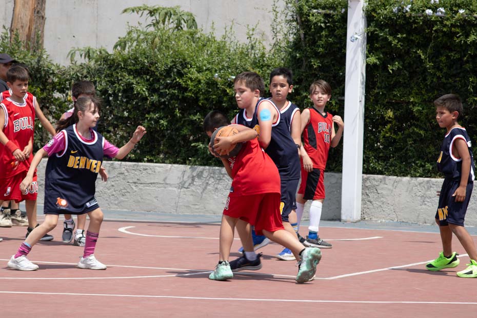 Ir a la Siguiente Foto