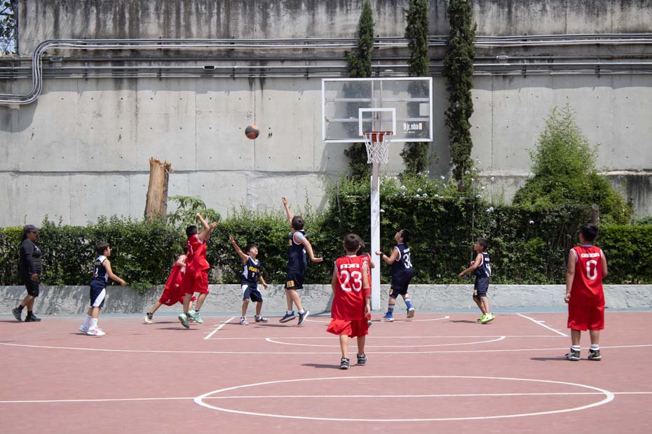 Ir a la Siguiente Foto