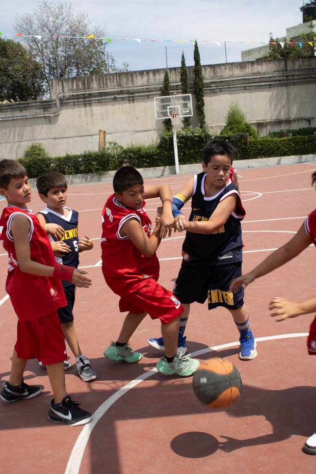 Ir a la Siguiente Foto