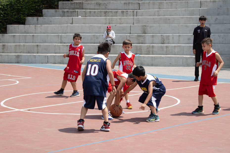 Ir a la Siguiente Foto